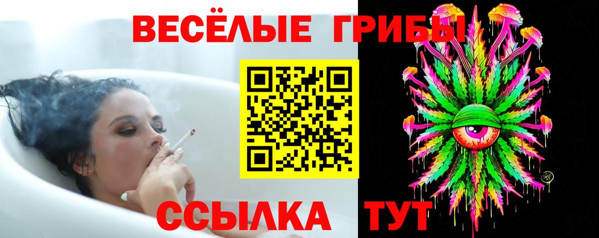 Галлюциногенные грибы Cubensis Железногорск