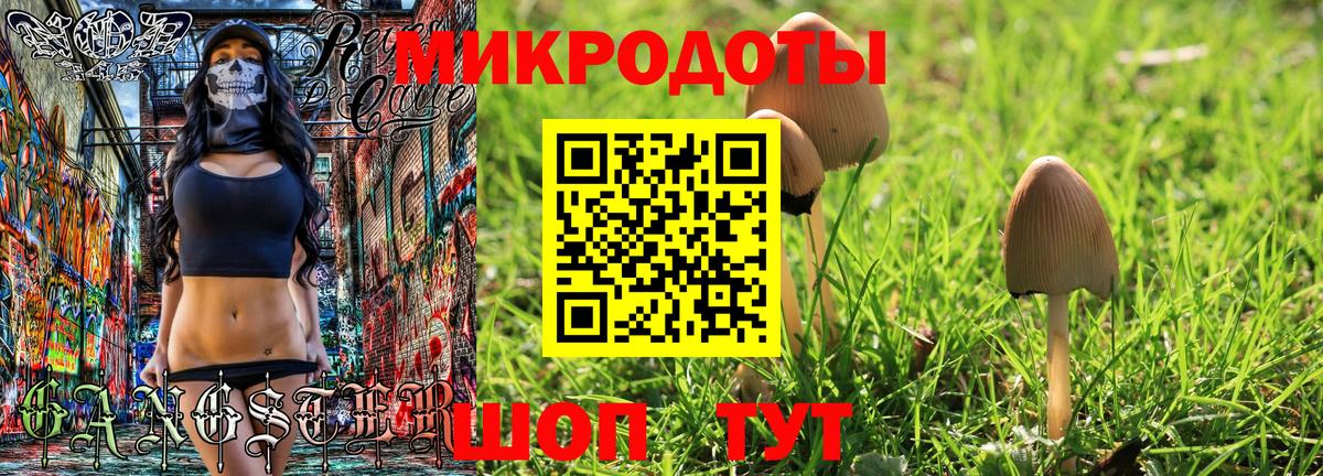 Железногорск  Галлюциногенные грибы мухоморы  купить наркотики сайты  Вход с VPN 